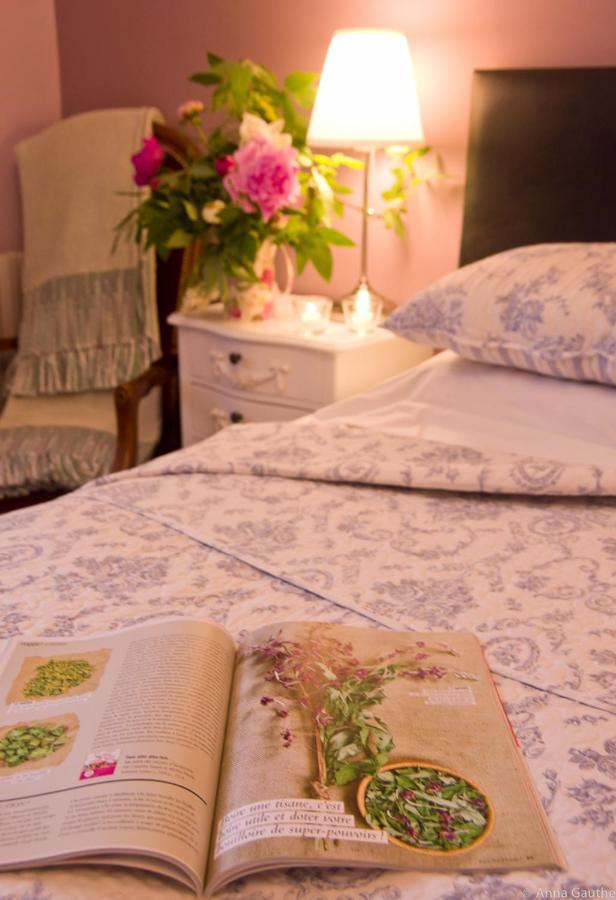 Le Cheval Blanc Bed & Breakfast Saint-Antonin Bagian luar foto